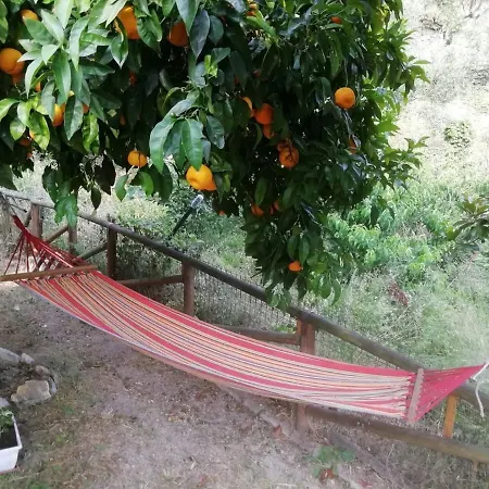 Tra Mare E Montagna